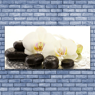 Plexiglas® Wall Art Flower stones art white black