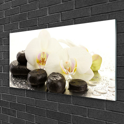 Plexiglas® Wall Art Flower stones art white black