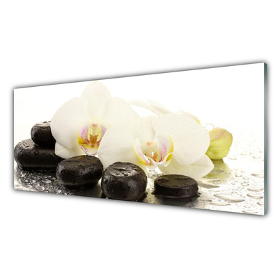 Plexiglas® Wall Art Flower stones art white black