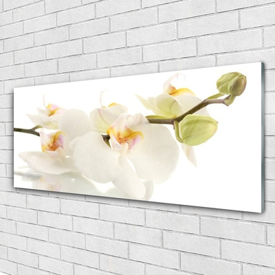 Plexiglas® Wall Art Flowers floral white