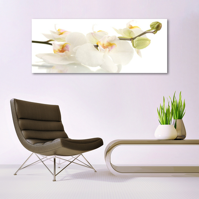 Plexiglas® Wall Art Flowers floral white