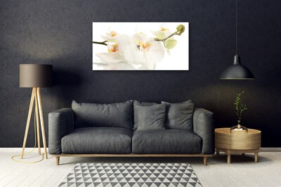 Plexiglas® Wall Art Flowers floral white