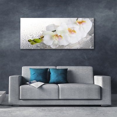 Plexiglas® Wall Art Flowers floral white