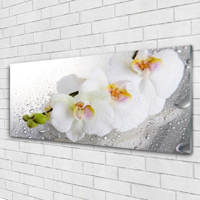 Plexiglas® Wall Art Flowers floral white