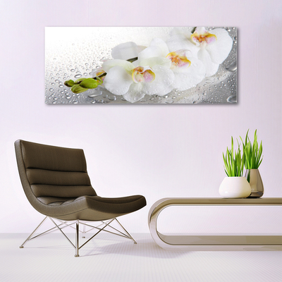 Plexiglas® Wall Art Flowers floral white