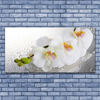 Plexiglas® Wall Art Flowers floral white