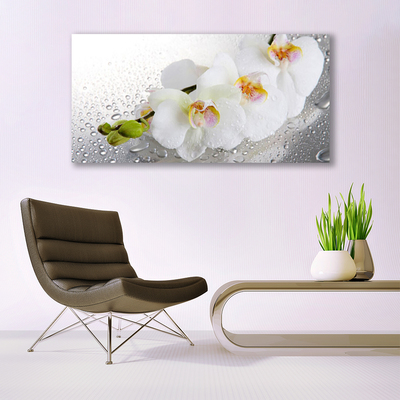 Plexiglas® Wall Art Flowers floral white