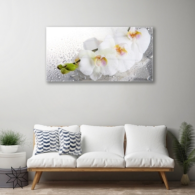 Plexiglas® Wall Art Flowers floral white