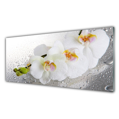 Plexiglas® Wall Art Flowers floral white