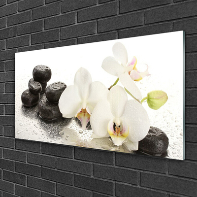 Plexiglas® Wall Art Flower stones floral white black