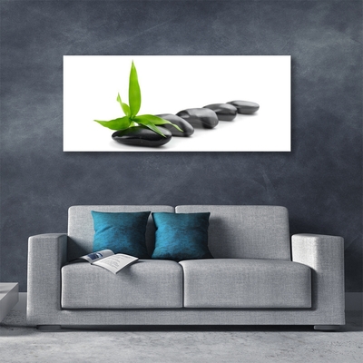 Plexiglas® Wall Art Stones leaves art black green