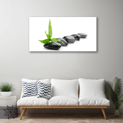 Plexiglas® Wall Art Stones leaves art black green