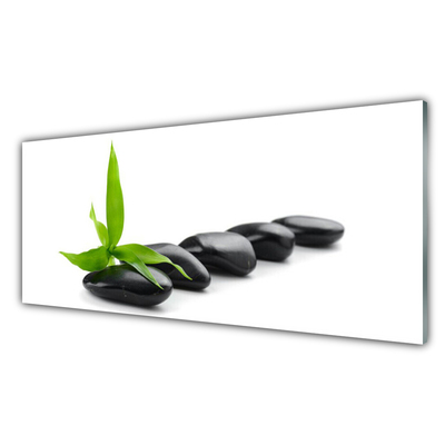 Plexiglas® Wall Art Stones leaves art black green