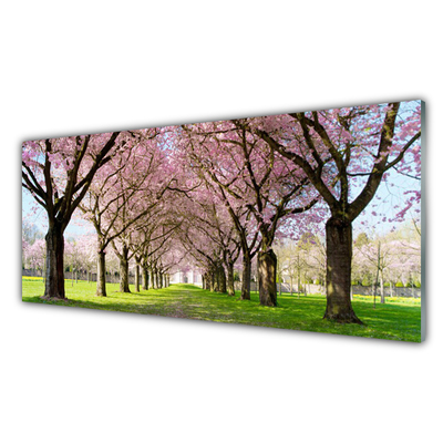 Plexiglas® Wall Art Footpath trees nature brown pink green