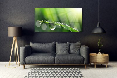 Plexiglas® Wall Art Grass dew drops floral green