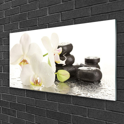 Plexiglas® Wall Art Flower stones floral white black