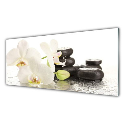 Plexiglas® Wall Art Flower stones floral white black