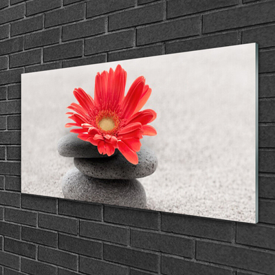 Plexiglas® Wall Art Flower stones art orange grey