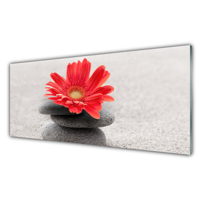 Plexiglas® Wall Art Flower stones art orange grey