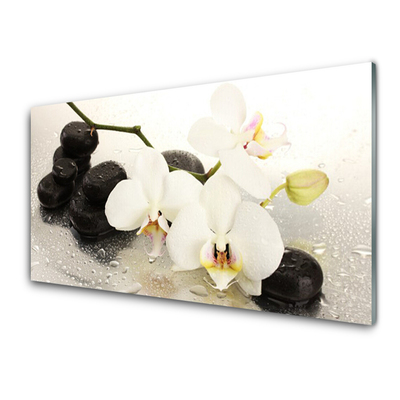 Plexiglas® Wall Art Flower stones art white black