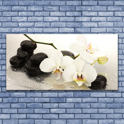 Plexiglas® Wall Art Flower stones art white black