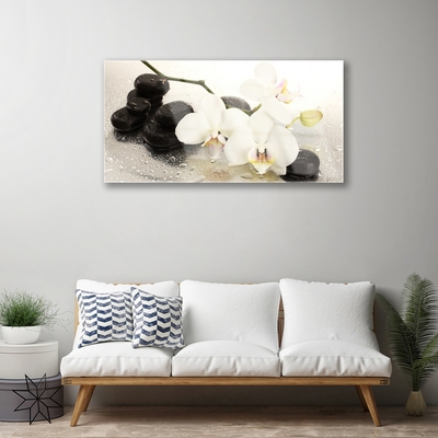 Plexiglas® Wall Art Flower stones art white black