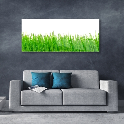 Plexiglas® Wall Art Weed nature green