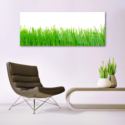 Plexiglas® Wall Art Weed nature green