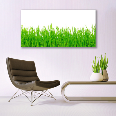 Plexiglas® Wall Art Weed nature green