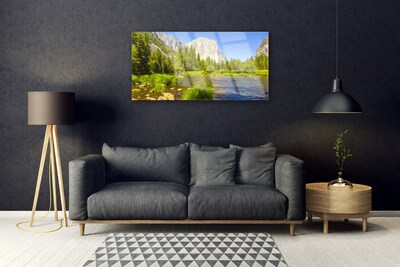 Plexiglas® Wall Art Lake mountain forest nature blue green grey