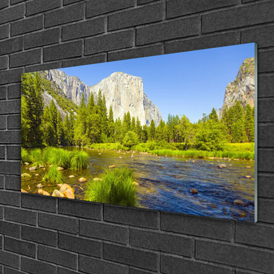 Plexiglas® Wall Art Lake mountain forest nature blue green grey