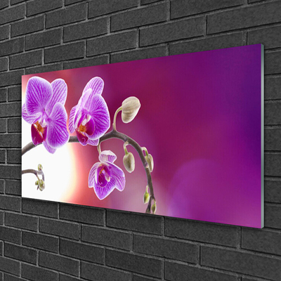 Plexiglas® Wall Art Flowers floral pink