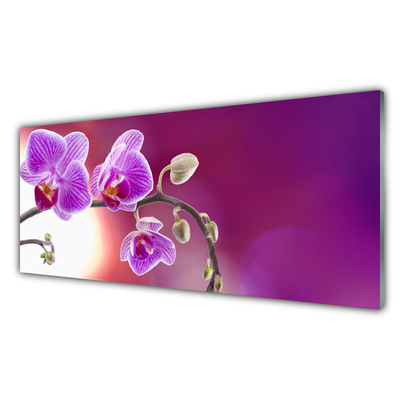 Plexiglas® Wall Art Flowers floral pink