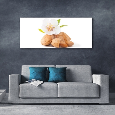 Plexiglas® Wall Art Flower pistachios floral white brown
