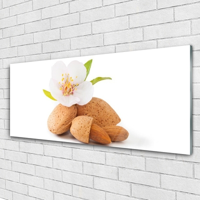 Plexiglas® Wall Art Flower pistachios floral white brown