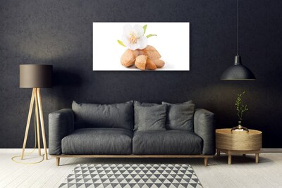 Plexiglas® Wall Art Flower pistachios floral white brown