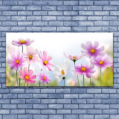 Plexiglas® Wall Art Flowers floral pink