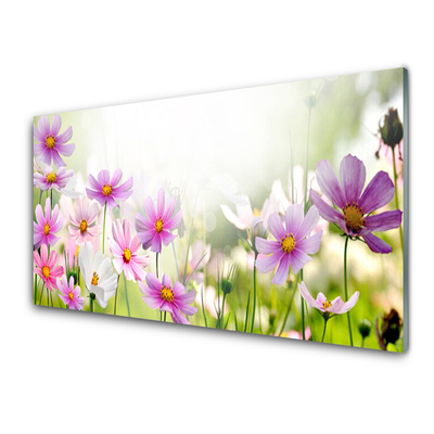 Plexiglas® Wall Art Flowers floral pink