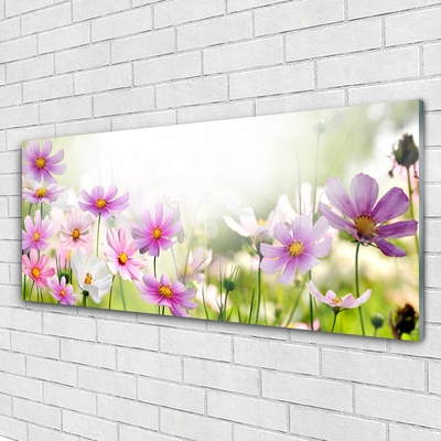 Plexiglas® Wall Art Flowers floral pink