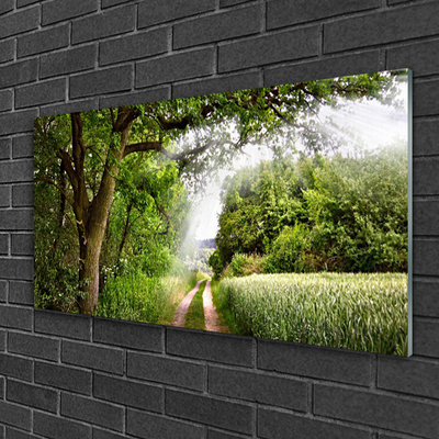 Plexiglas® Wall Art Trees footpath nature brown green