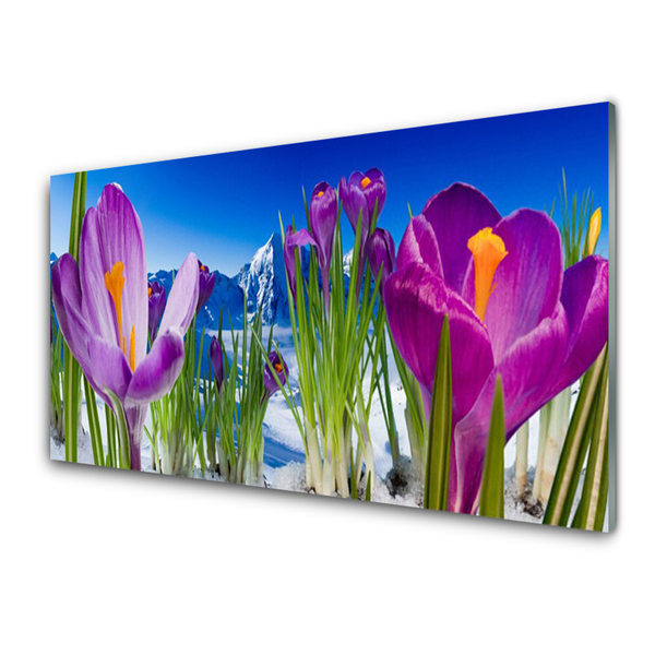 Plexiglas® Wall Art Flowers floral pink green