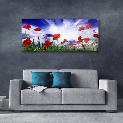 Plexiglas® Wall Art Poppies nature red green purple white