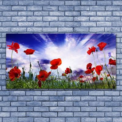 Plexiglas® Wall Art Poppies nature red green purple white