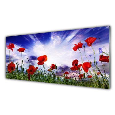 Plexiglas® Wall Art Poppies nature red green purple white