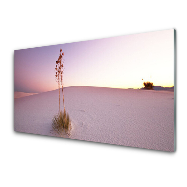 Plexiglas® Wall Art Desert landscape brown