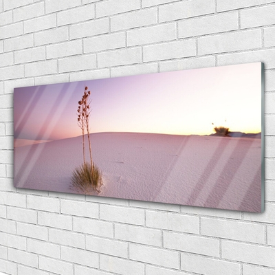 Plexiglas® Wall Art Desert landscape brown