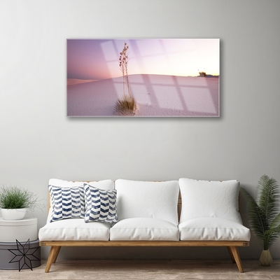 Plexiglas® Wall Art Desert landscape brown