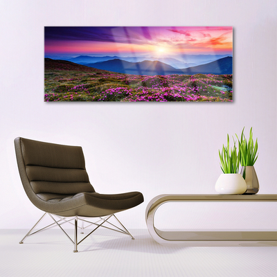 Plexiglas® Wall Art Mountain meadow sun landscape green pink blue yellow