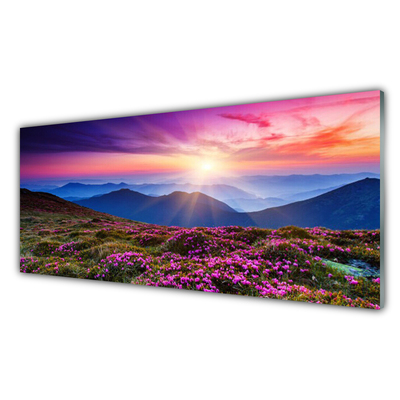 Plexiglas® Wall Art Mountain meadow sun landscape green pink blue yellow