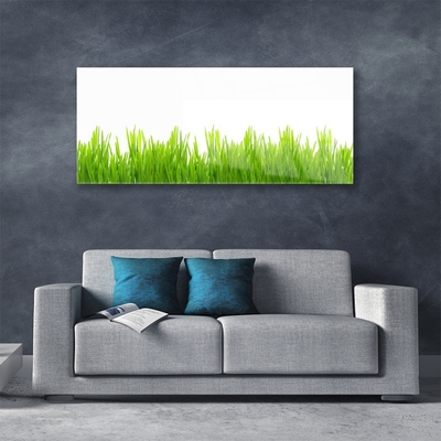 Plexiglas® Wall Art Weed nature green